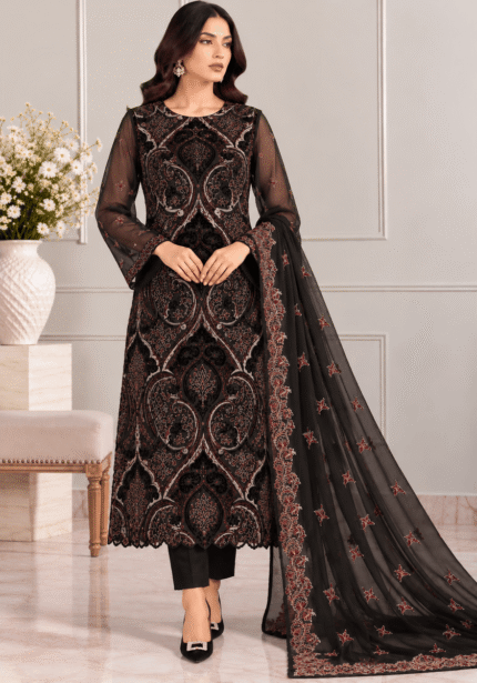 Black net velvet patch embroidered 3 piece suit front pose with chiffon dupatta