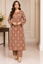 Brown velvet embroidered 3 piece suit with matching trousers shown in front pose without dupatta