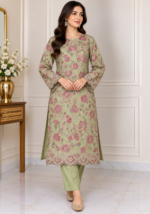 Sage green floral embroidered Pakistani 3 piece suit front view without dupatta